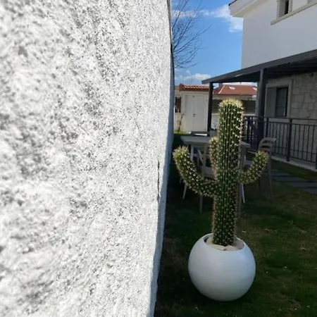 Olea Tas Begonvile B1 Konagi Alaçatı