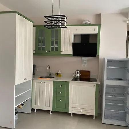 Olea Tas Begonvile B1 Konagi