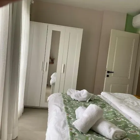 Olea Tas Begonvile B1 Konagi
